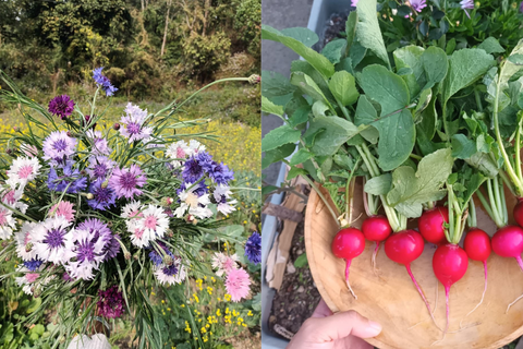 Qu’aimeriez-vous dire aux nouveaux jardiniers ?