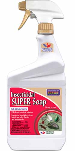 Image verticale en gros plan d'un flacon pulvérisateur de super savon insecticide Bonide isolé sur un fond blanc.