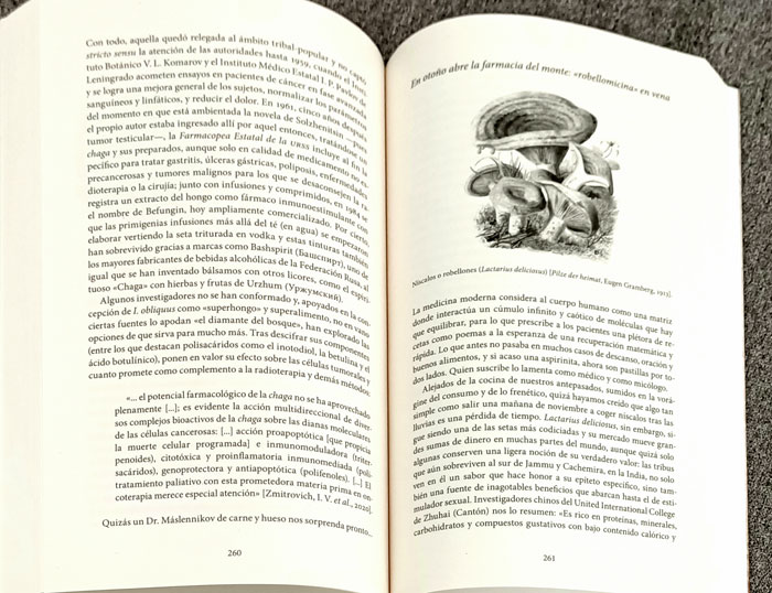 Page d'histoire des champignons Page d'histoire des champignons