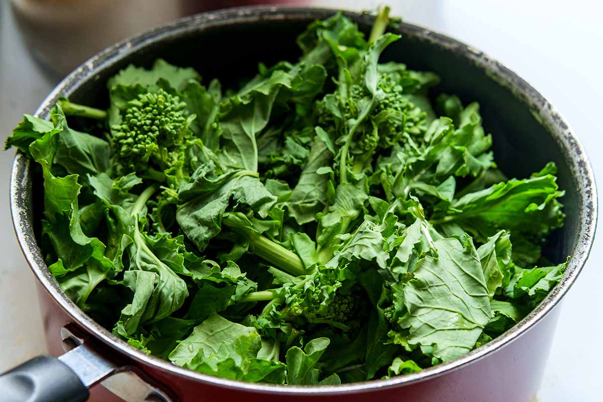 Une image horizontale en gros plan d'une casserole remplie de rapini fraîchement récoltés.