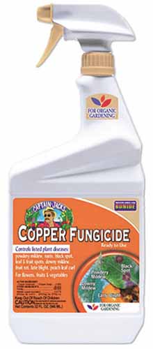 Gros plan d'un flacon pulvérisateur de fongicide Bonide Copper isolé sur un fond blanc.