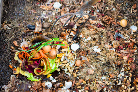 Avantages d'un tas ou d'un bac à compost scolaire