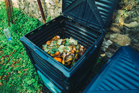 Que peut contenir un tas de compost – Ce qu'il faut faire et ce qu'il ne faut pas faire