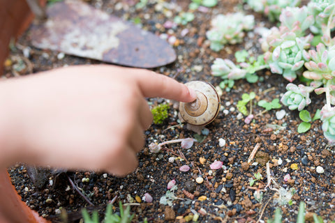 Questions de commentaires pour les enfants