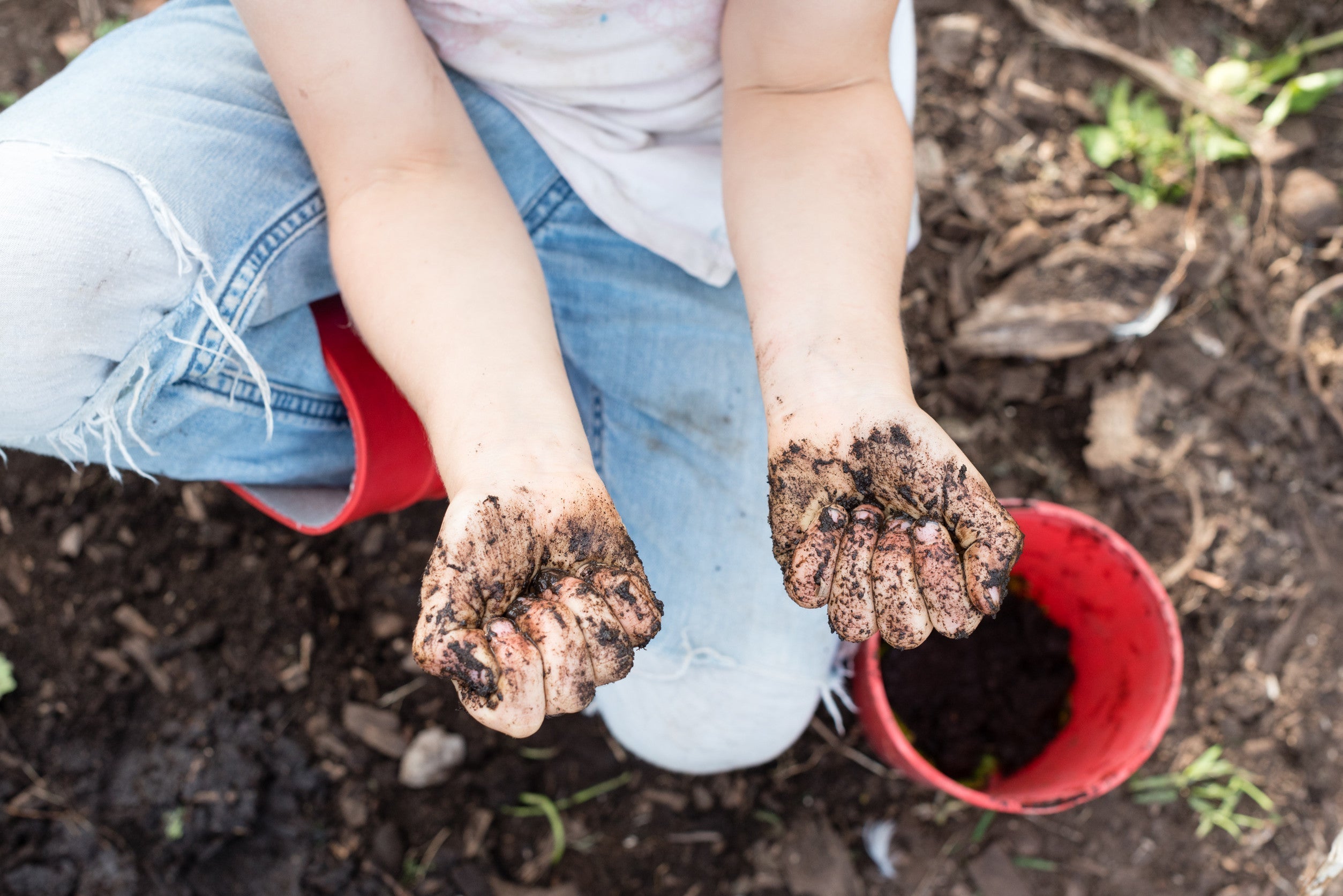Étapes simples pour les enseignants et les étudiants – AllThatGrows