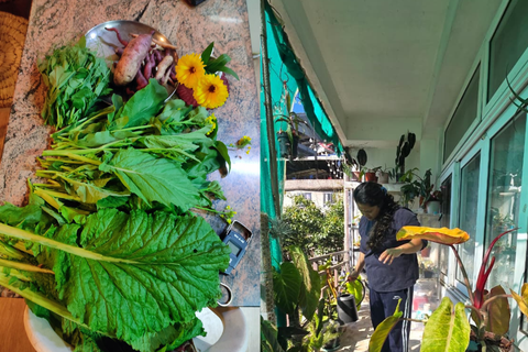 Quelles sont les plantes avec lesquelles vous n’avez pas eu autant de succès ?