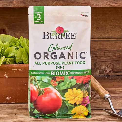 Un gros plan d'un sac d'engrais biologique tout usage amélioré Burpee posé sur une surface en bois.