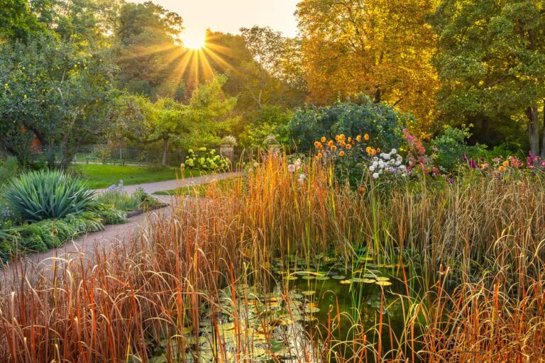 Des photographies de magnifiques jardins primées à l'IGPOTY 19