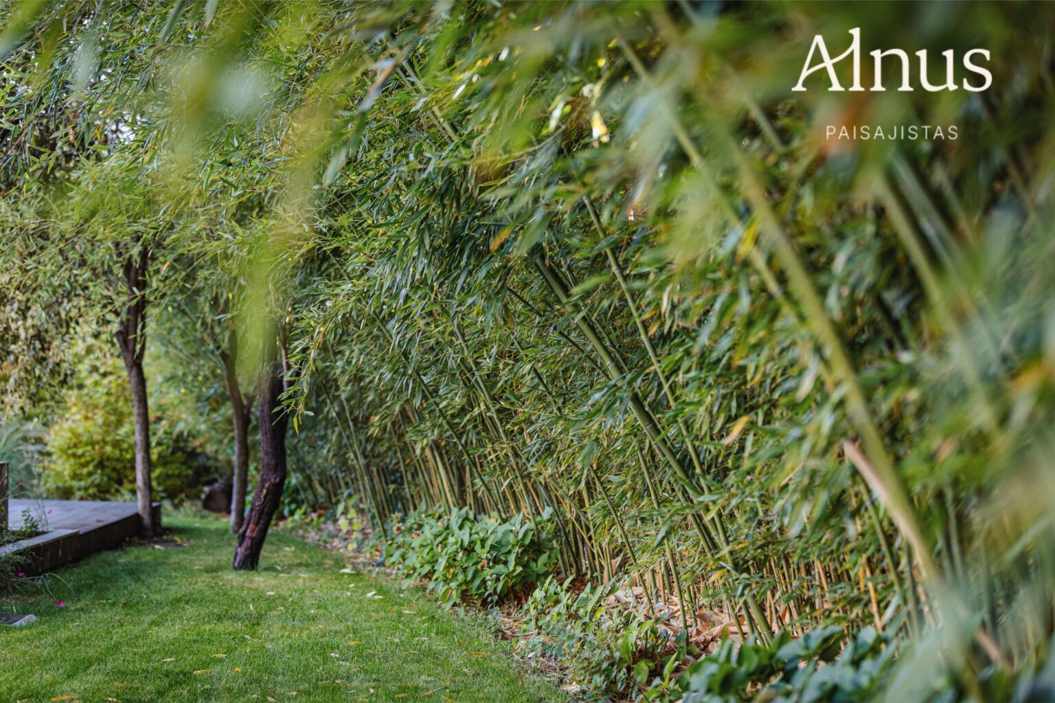 Antonia González del Pozo