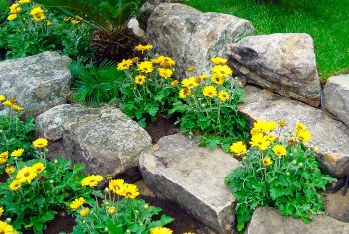 Comment préparer le jardin pour le printemps