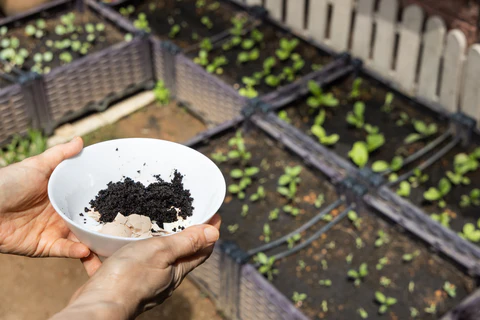 Ajouter du compost seulement de temps en temps