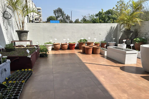 Jardin du balcon du bureau ATG