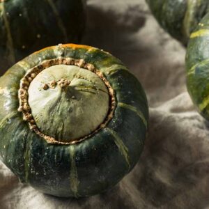 Comment planter et cultiver de la courge renoncée