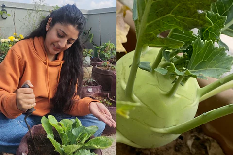 Une astuce de jardinage que vous souhaiteriez partager avec nous ?