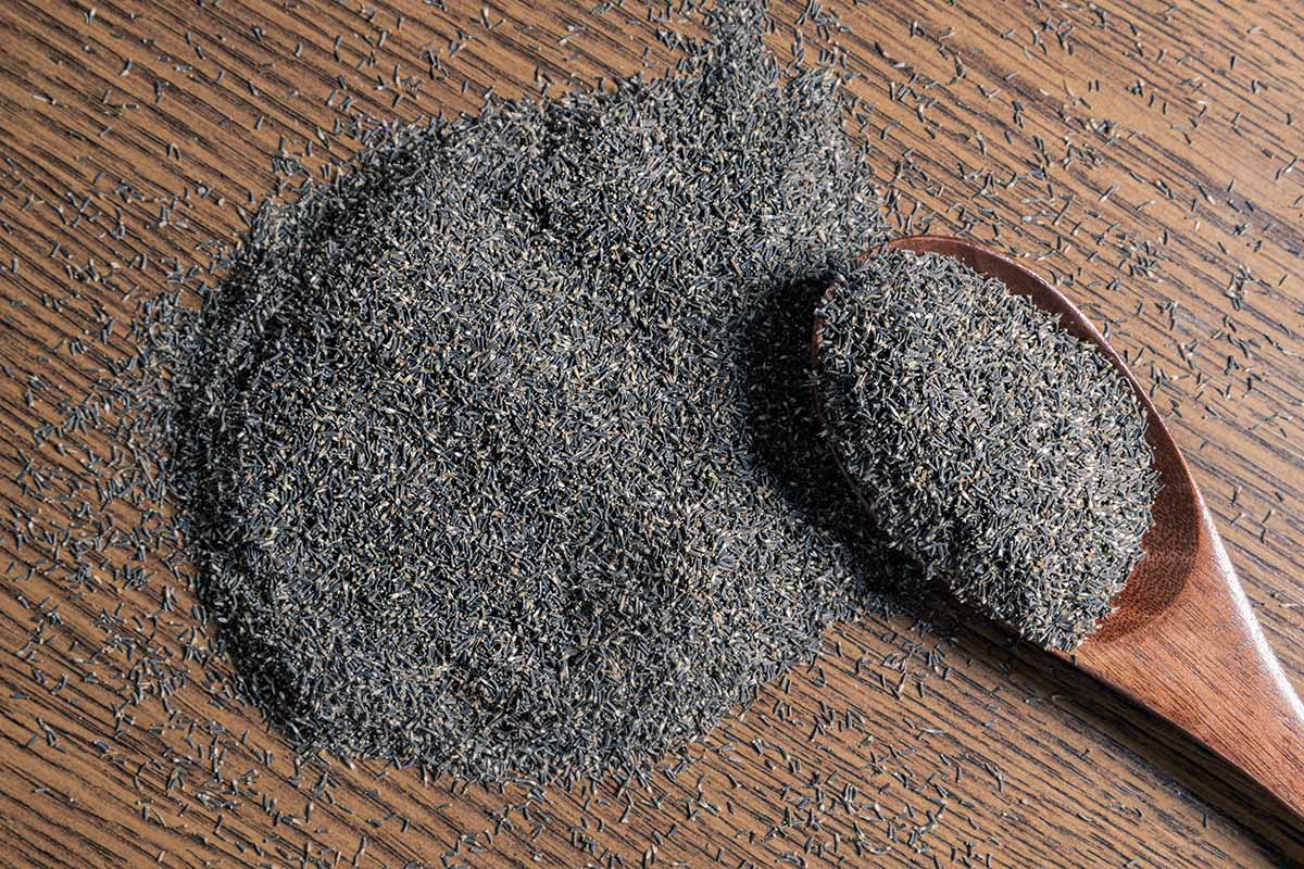 Une image horizontale en gros plan d'un tas de petites graines sur une surface en bois avec une spatule en bois.