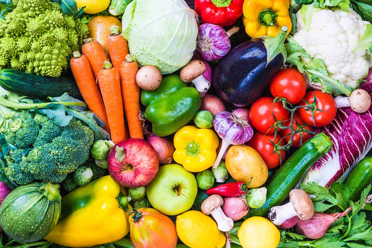 Une image horizontale en gros plan d'une grande récolte de différents légumes et fruits.