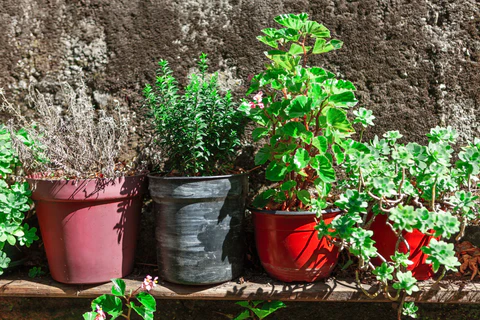 Regroupez vos pots