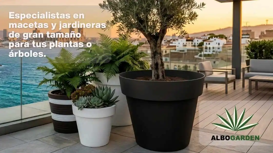 Vente de pots grand format