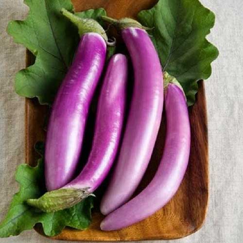 Un gros plan d'aubergines asiatiques violet clair posées sur une assiette en bois avec de grandes feuilles vertes qui les entourent.