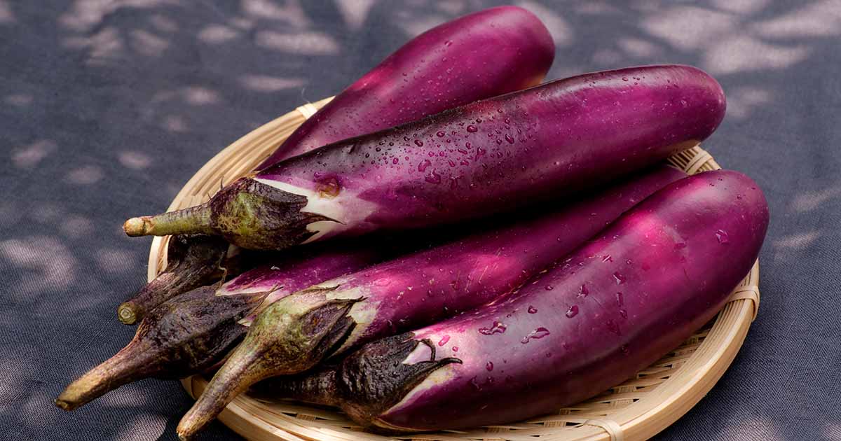 21 des meilleures variétés d'aubergines japonaises (asiatiques)