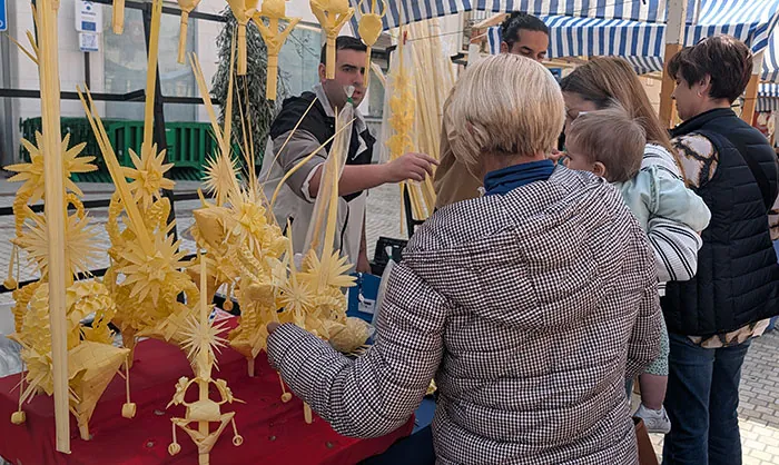 Vente de Palma Blanca à Elche Vente de Palma Blanca à Elche