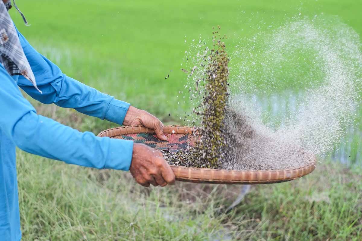 Image horizontale d'une personne à gauche du cadre utilisant un panier pour vanner les paillettes, représentée sur un arrière-plan flou.