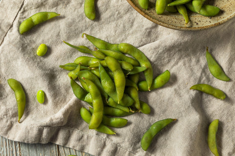 Récolte de l'edamame (soja)