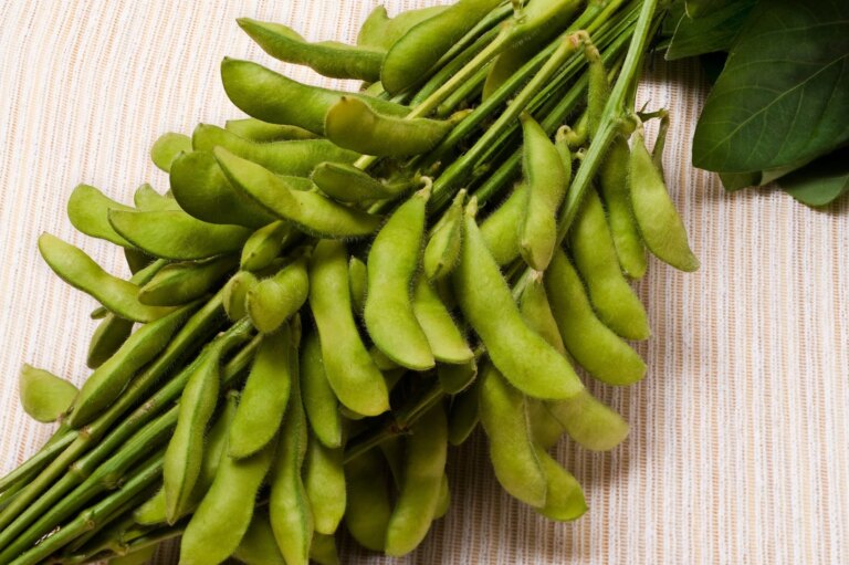 Cultivez l'edamame chez vous en Inde