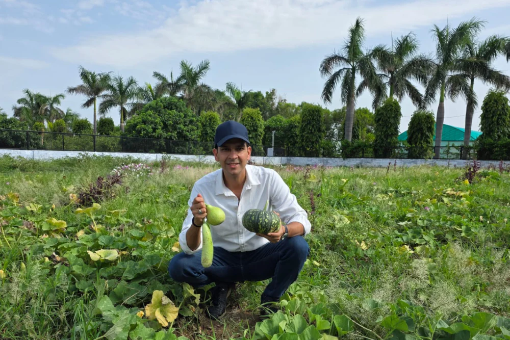 Qu'est-ce qu'il y a vraiment pour le dîner ? Pourquoi chaque maison a besoin d’un potager – AllThatGrows