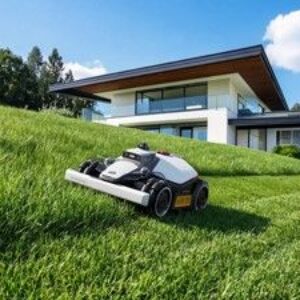 Adaptation des jardins aux climats extrêmes : le « jardinage climatique » de Mammotion est né