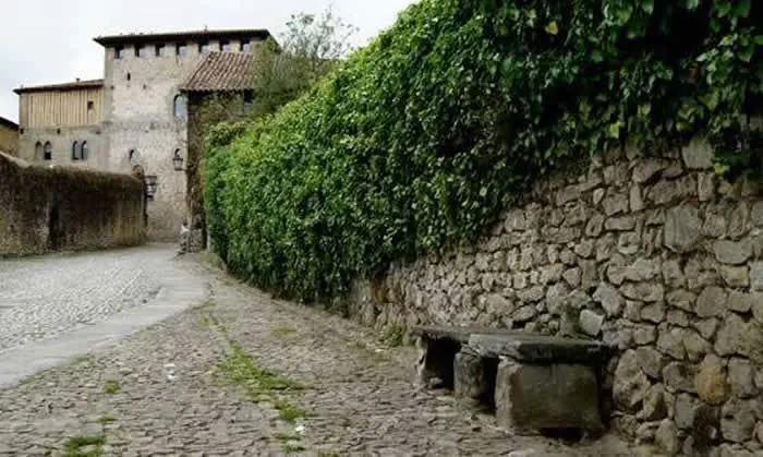 Lierre comme plante grimpante sur un mur de pierre Lierre comme plante grimpante sur un mur de pierre
