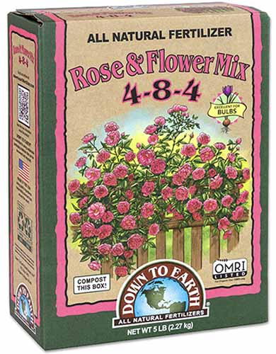 Un gros plan de l'emballage du mélange de roses et de fleurs Down to Earth isolé sur un fond blanc.