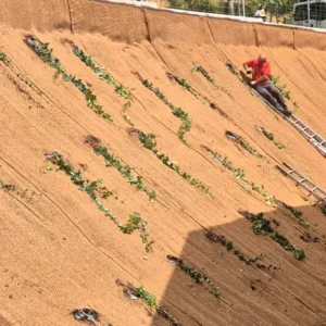 Filets en fibre de coco pour le jardinage et l'aménagement paysager