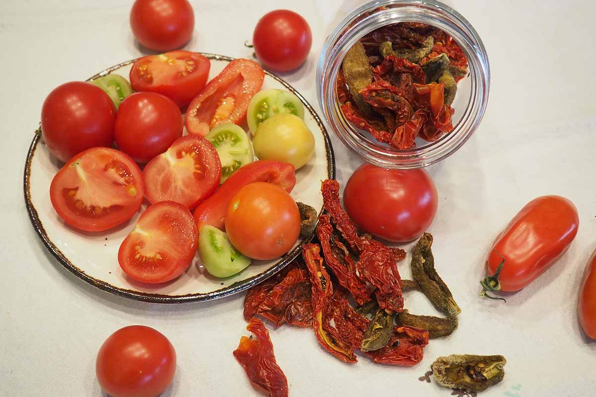 Une image horizontale en gros plan d'une assiette de tomates fraîchement récoltées sur place à gauche du cadre et de tomates déshydratées dans un pot à droite, posées sur une surface blanche.