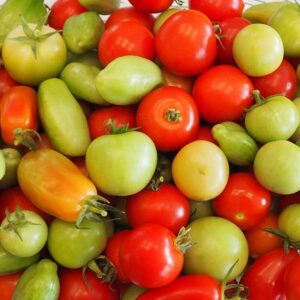 Comment conserver les tomates du jardin