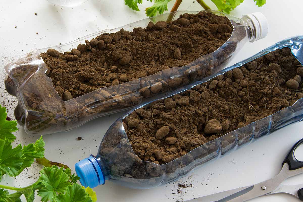 Une image horizontale en gros plan de bouteilles d'eau utilisées pour planter des graines, posées sur une surface blanche.