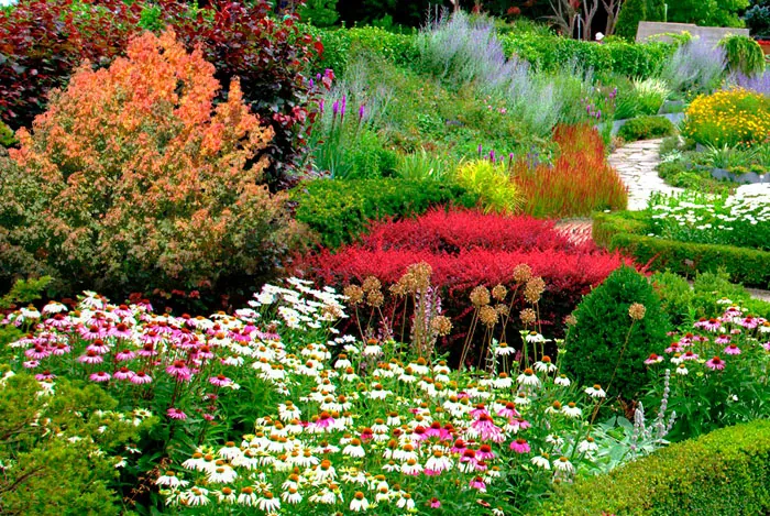 Floresyplantas.net