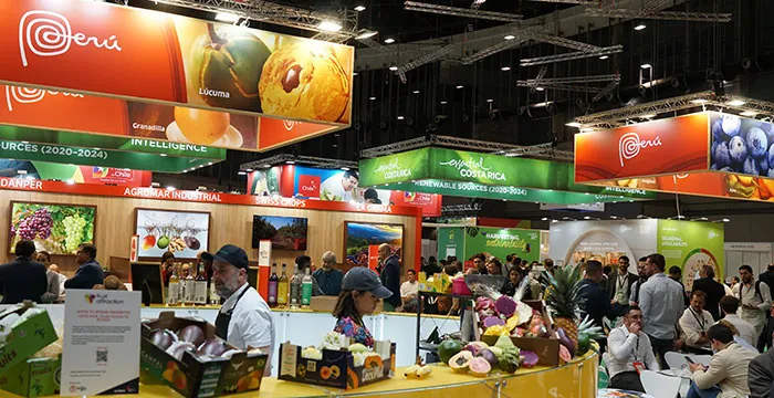 Fruits et légumes internationaux à l'attraction Fruit Fruits et légumes internationaux à l'attraction Fruit
