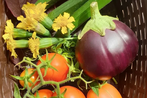 Qu’aimeriez-vous dire à nos nouveaux jardiniers ?