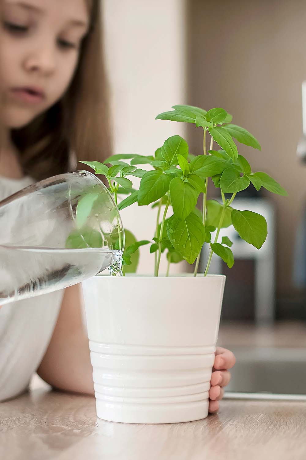 Une image verticale en gros plan d'une jeune fille versant de l'eau d'un verre dans un petit pot en céramique blanche cultivant des herbes.
