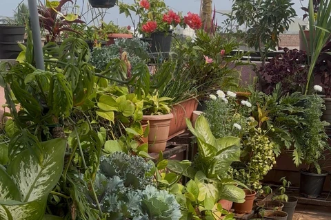 Une astuce de jardinage que vous souhaiteriez partager ?