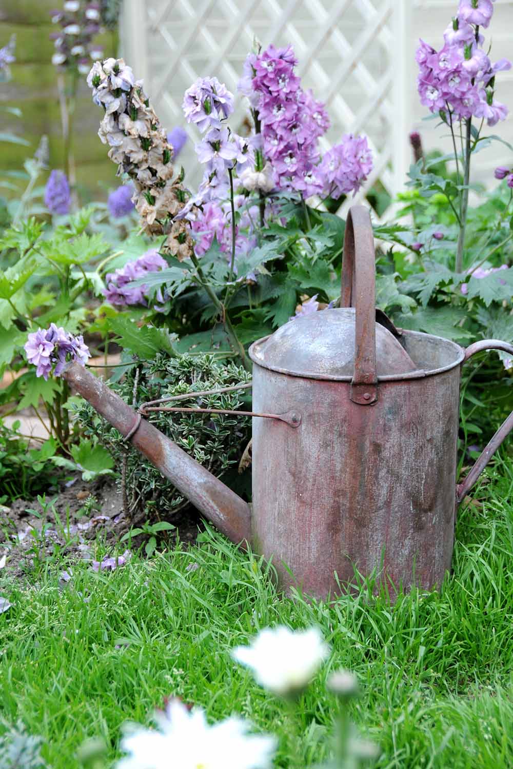 Une image verticale en gros plan d'un arrosoir rouillé posé sur une pelouse avec des fleurs au foyer doux en arrière-plan.