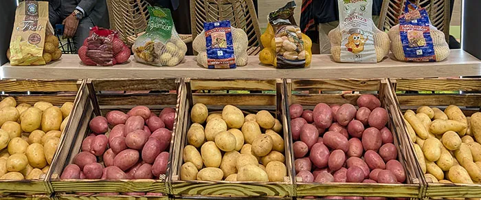 Promotion des variétés de pommes de terre chez Fruit Attraction Promotion des variétés de pommes de terre chez Fruit Attraction