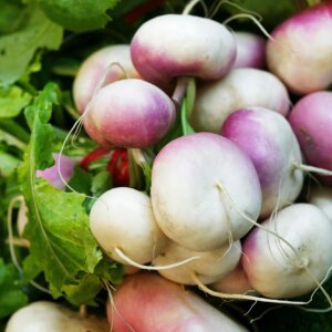 4 variétés de navets à cultiver à la maison cet hiver – AllThatGrows