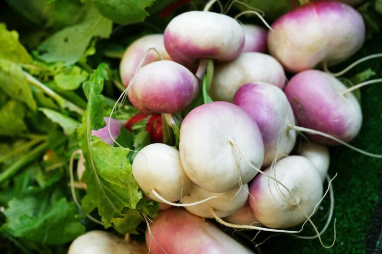4 variétés de navets à cultiver à la maison cet hiver – AllThatGrows