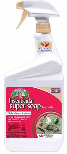 Un gros plan d'une bouteille de Super Savon Insecticide Bonide isolée sur un fond blanc.